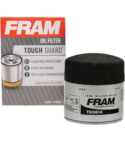 Amazon.com: Ford Genuine Parts BE8Z-6731-AB Oil Filter